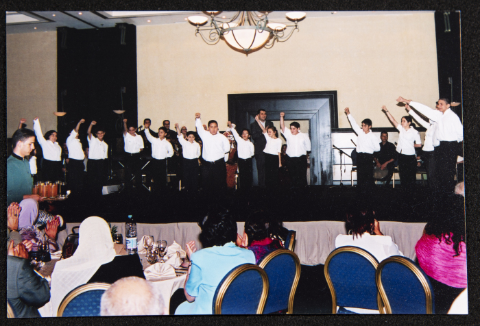 A Photograph of a Performance by al-Hannouneh Troupe