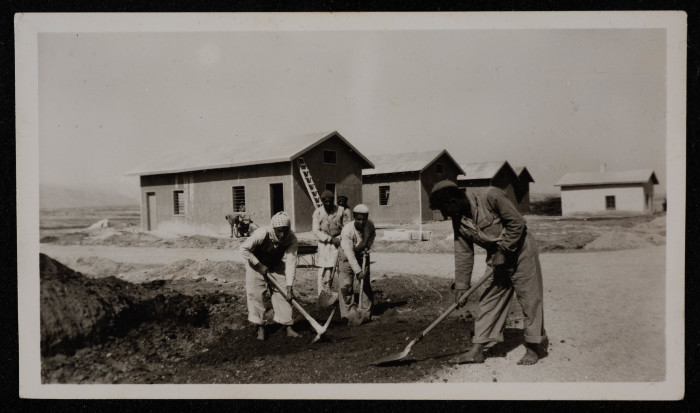 Workers Digging a Water Channel at the Arab Development Society Project, the 1950s 
