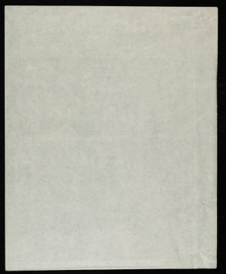 A Part of Documenting a Trip for Scouts Members of Sareyyet Ramallah (FRG) to the Holy Sites of Al Quds (Jerusalem) 