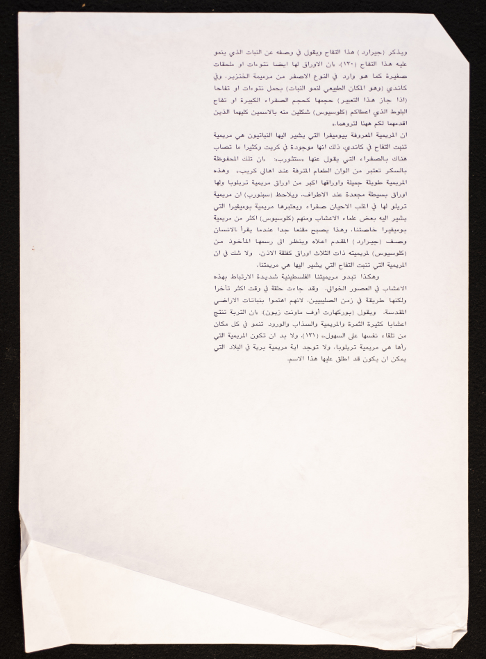 A Collection of Palestinian Poetry and Proverbs 
