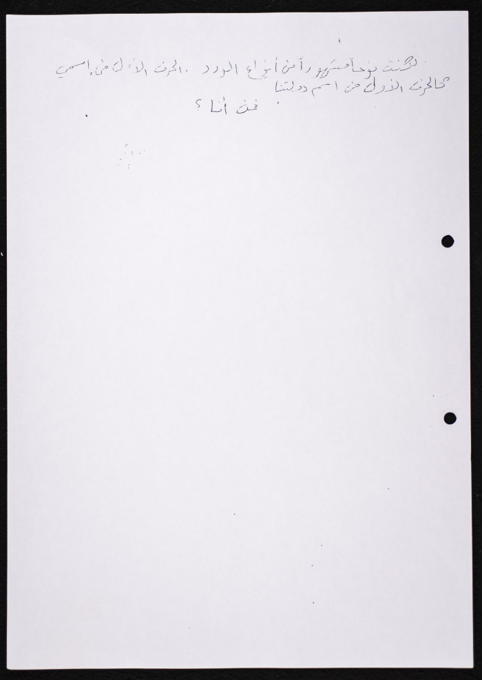 The Study Program for Groups