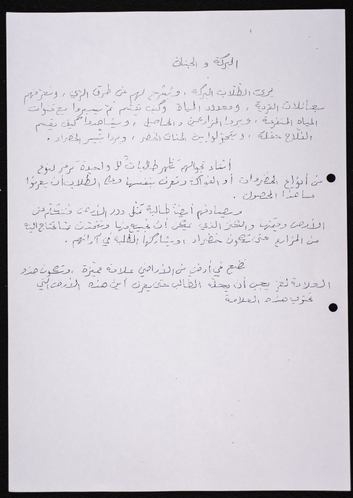 The Study Program for Groups