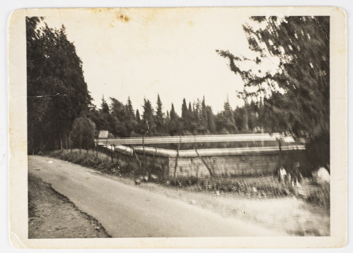 Solomon's Pools, Artas