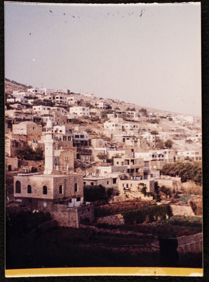 A Glimpse of Artas	