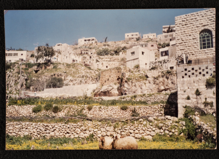 Artas's Water Spring