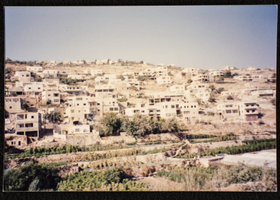 A Glimpse of Artas	