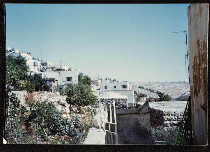 A Glimpse of Artas