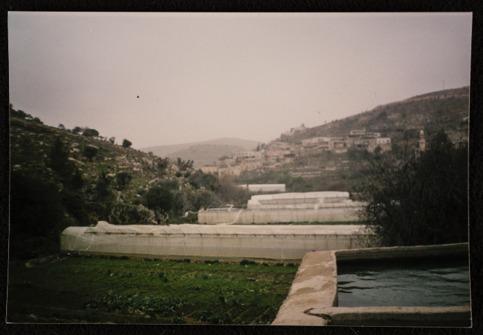 The Artas Valley 