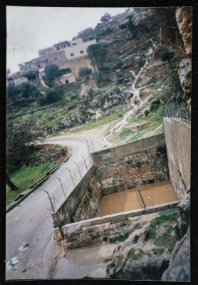 Artas Spring 