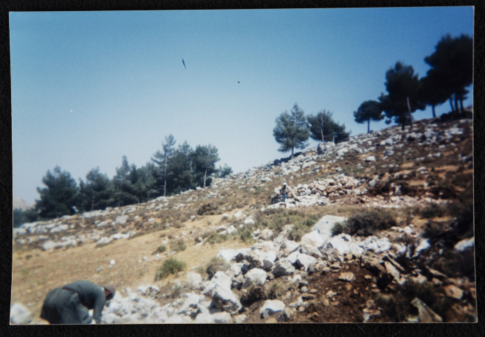 Solomon's Pools in Artas