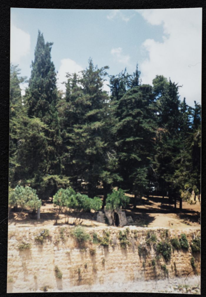 Solomon's Pools in Artas