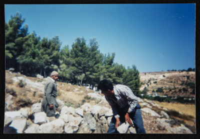 Renovation and Construction in Solomon