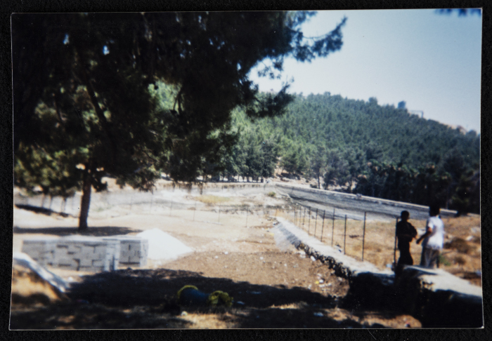 Solomon's Pools in Artas
