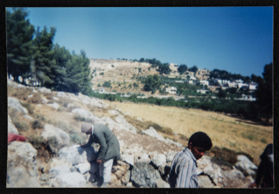 Renovation and Construction in Solomon