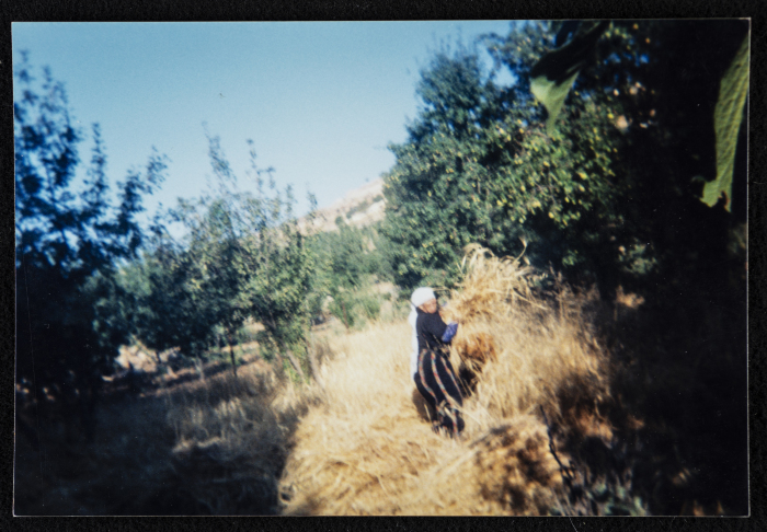 A Woman from Artas During the Wheat Harvest Season