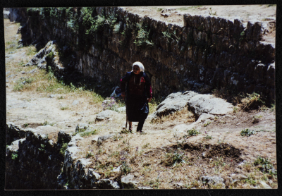 A Woman Standing by the Middle Pool of Solomon