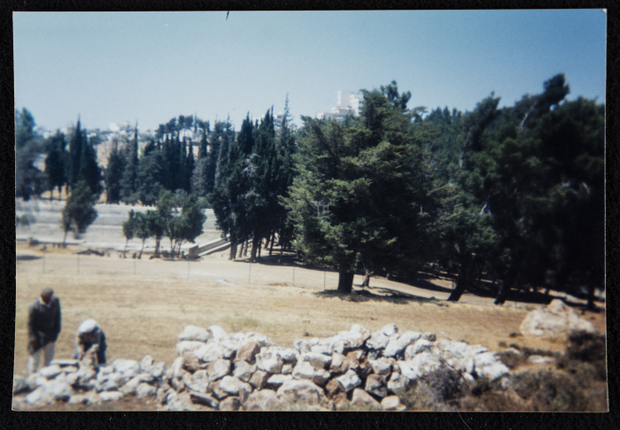 Solomon's Pools in Artas
