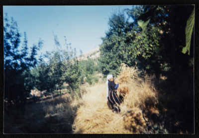 A Woman from Artas During the Wheat Harvest Season