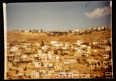 A Panoramic View of the Centric Section of Artas Village