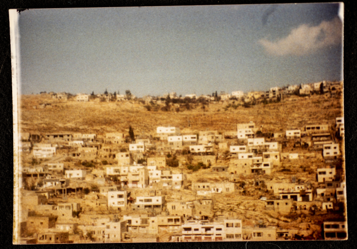 A Panoramic View of the Centric Section of Artas Village