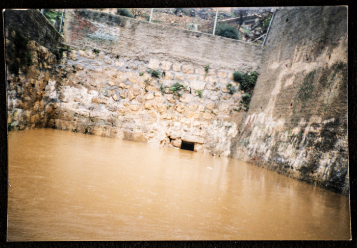 Artas Spring 