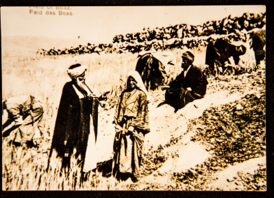 People of Beit Sahour Harvesting the Wheat 