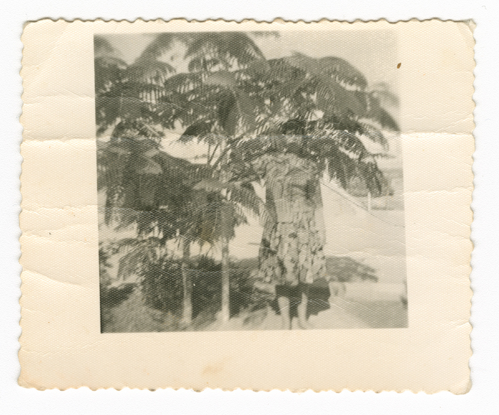 Ms. Hadya Maṣri's Family 