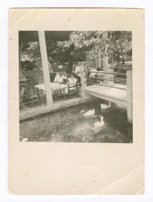 Ms. Hadya Maṣri's Family 
