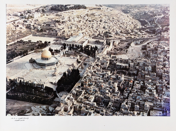 A Poster by the Palestine Liberation Organization