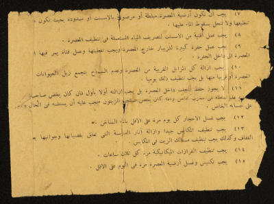 A Fragment of a List of Instructions on Keeping Olive Mills Clean