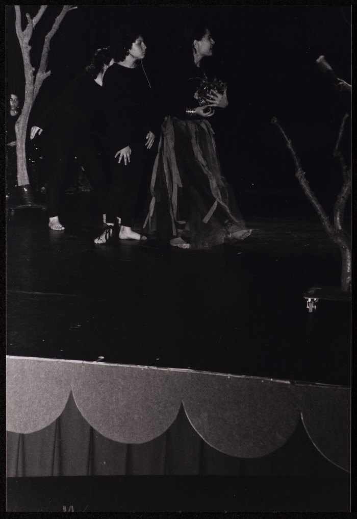 صورة من عرض 