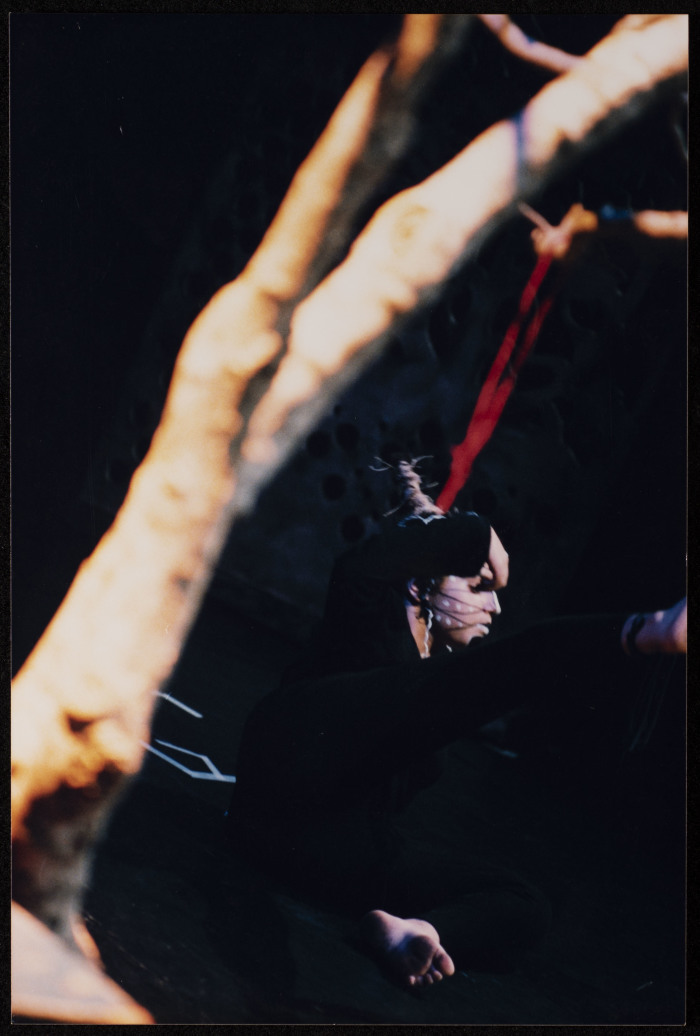 صورة من عرض 