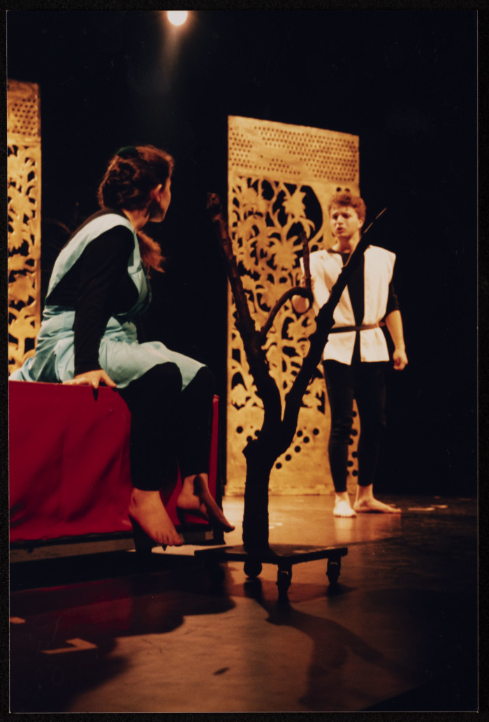 صورة من عرض 