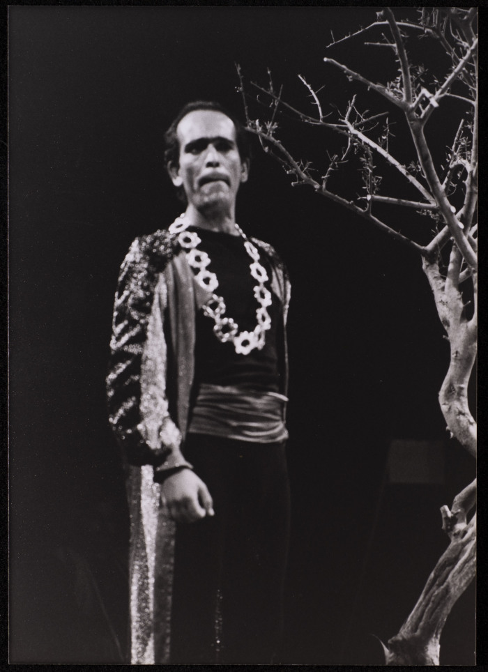 صورة من عرض 