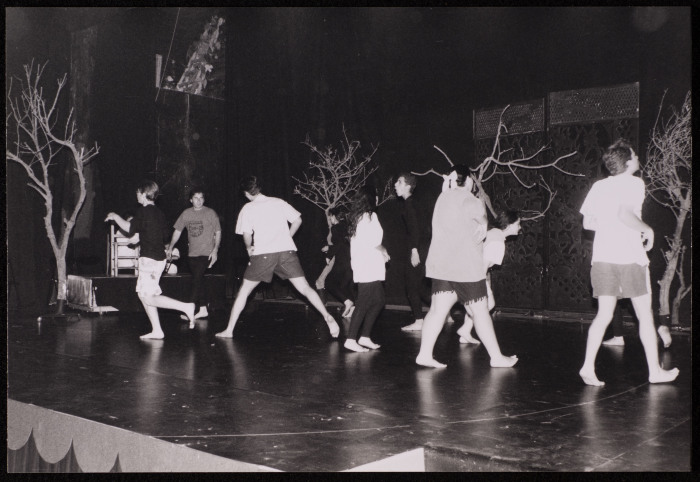 صورة من عرض 