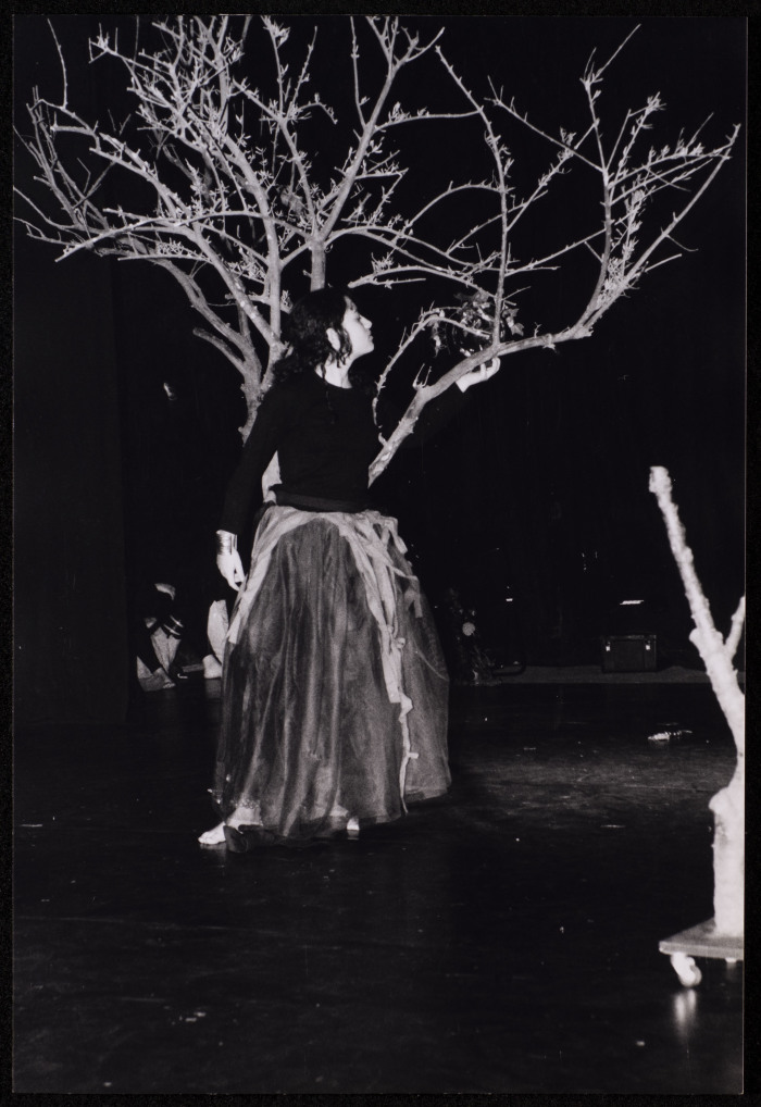 صورة من عرض 