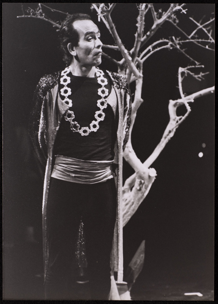 صورة من عرض 