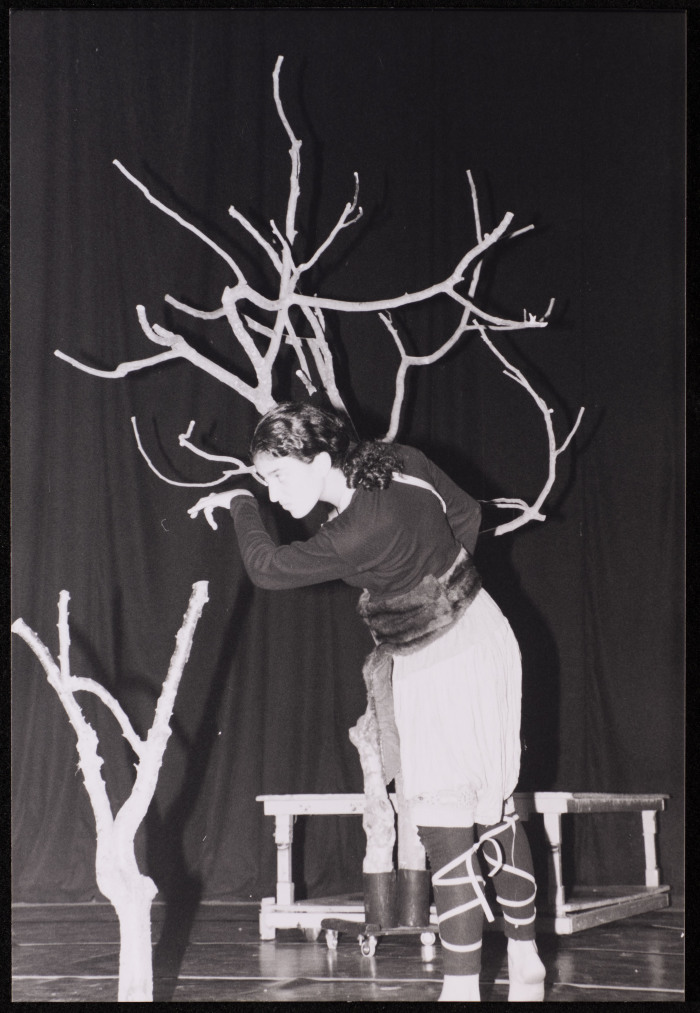 صورة من عرض 