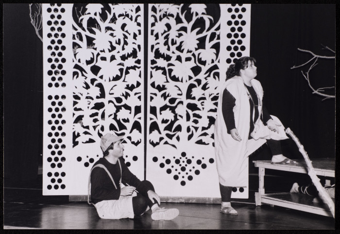 صورة من عرض 