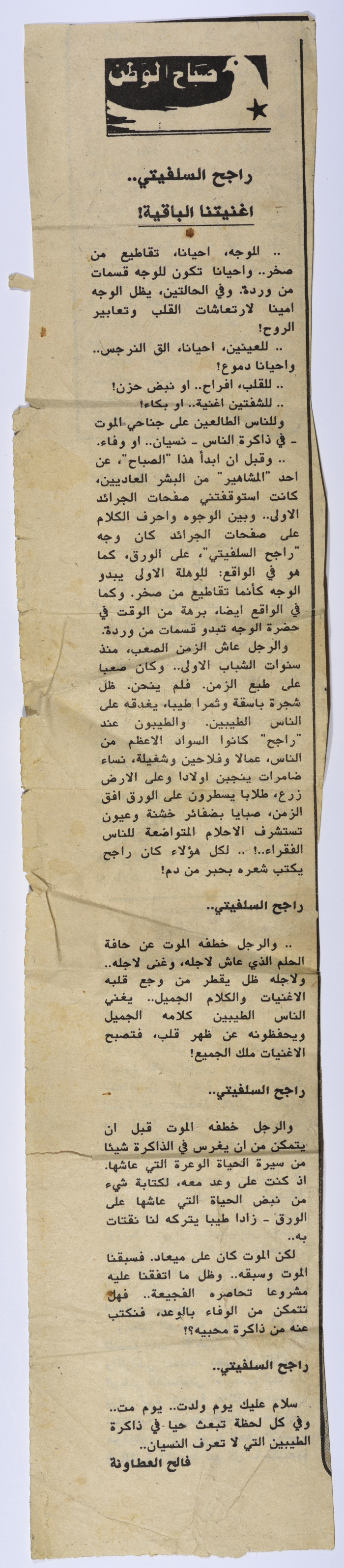 An article on Rajih al Salfeety titled 