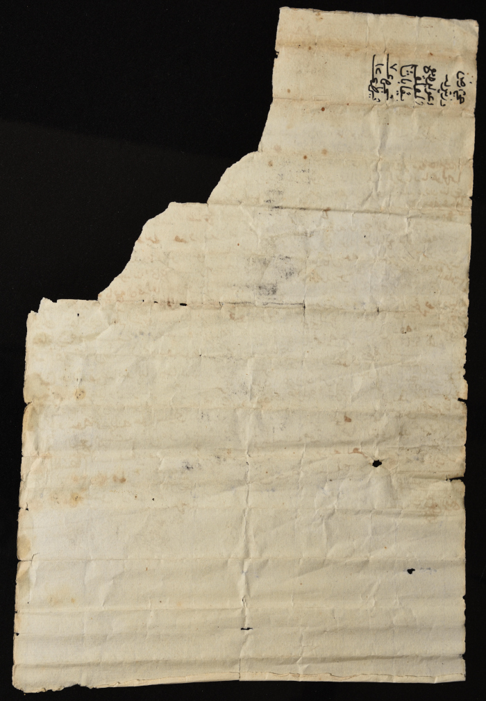 حجة أرض وشجر زيتون من الزمن العثماني