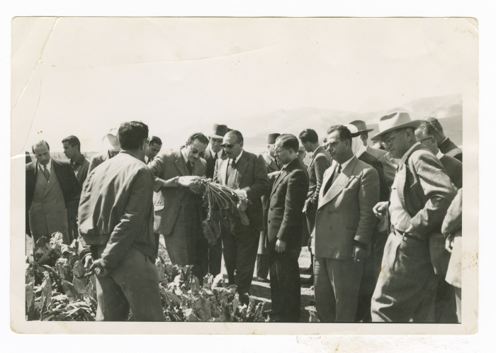 مجموعة من الناس في ارض زراعية