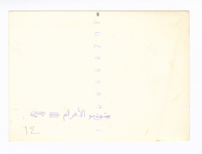 A Photograph of Haifa Irshaid's Family 