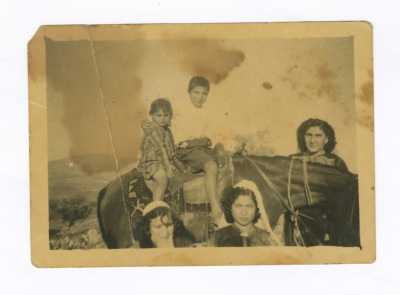 A Photograph of Haifa Irshaid