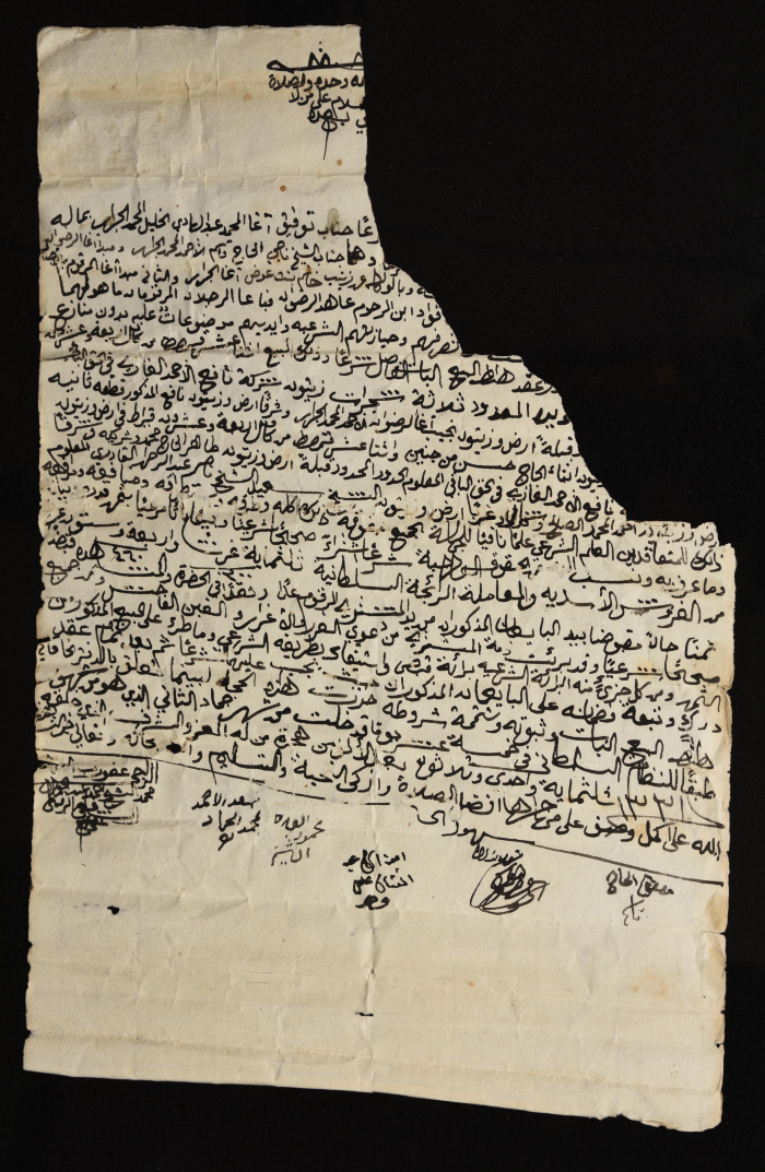 حجة أرض وشجر زيتون من الزمن العثماني