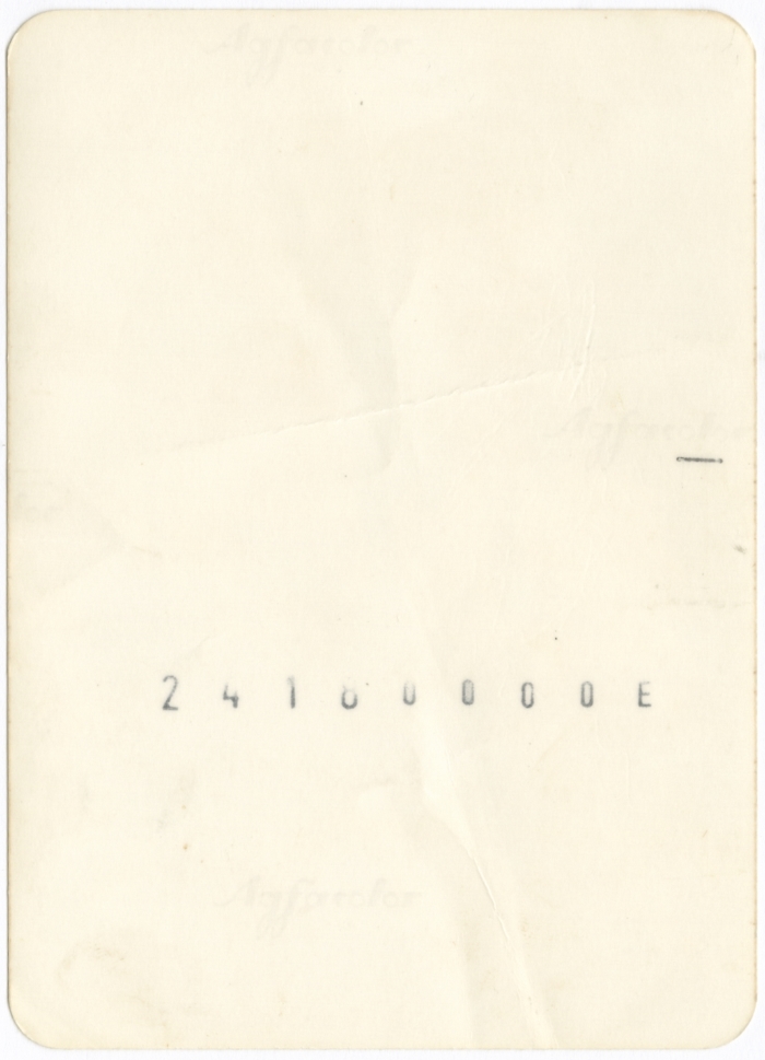 مجموعة من الناس في فعالية ما بمنطقة معار