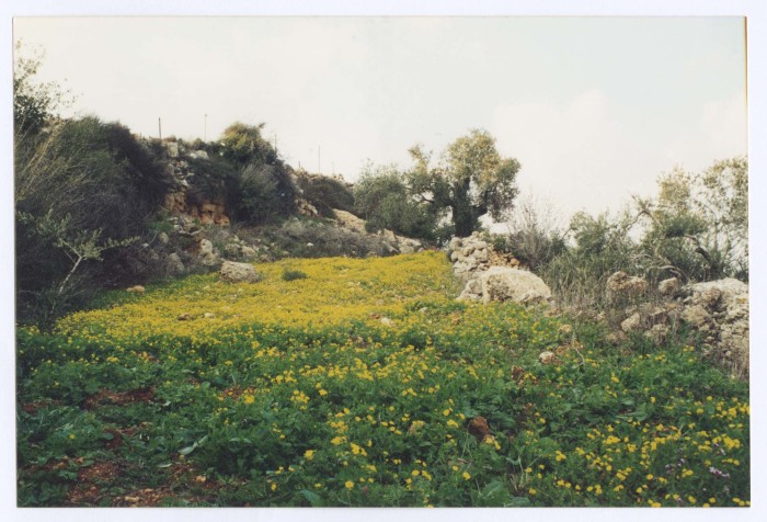 Kubar Landscape, Ramallah 
