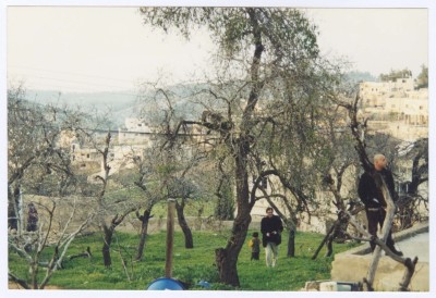 Kubar Landscape, Ramallah 