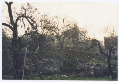 Kubar Landscape, Ramallah 