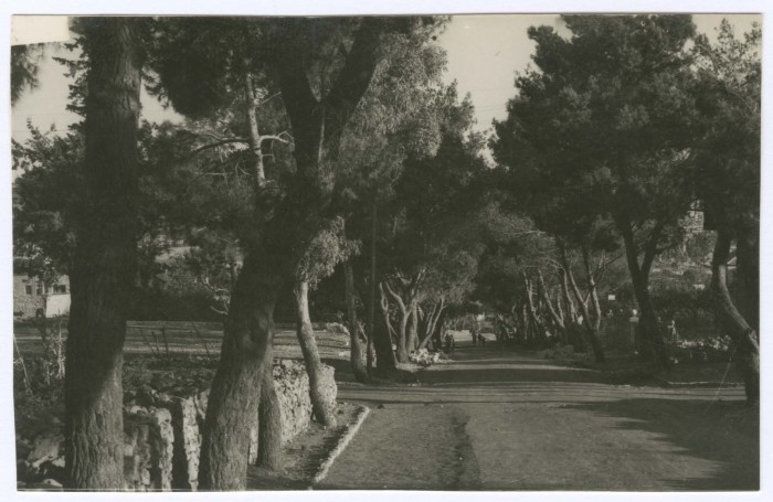 A Photograph of a Natural Scenery 
